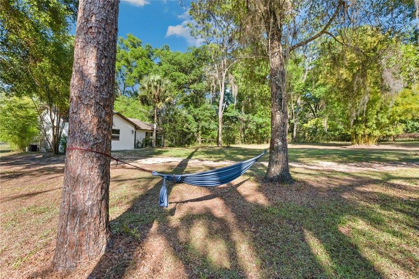 Picture of 27477 Old Trilby Road, Brooksville FL 34602