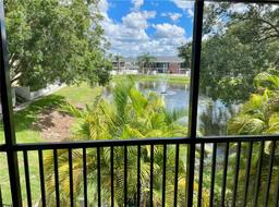 Picture of 13833 Orange Sunset Drive Unit 201, Tampa, FL 33618