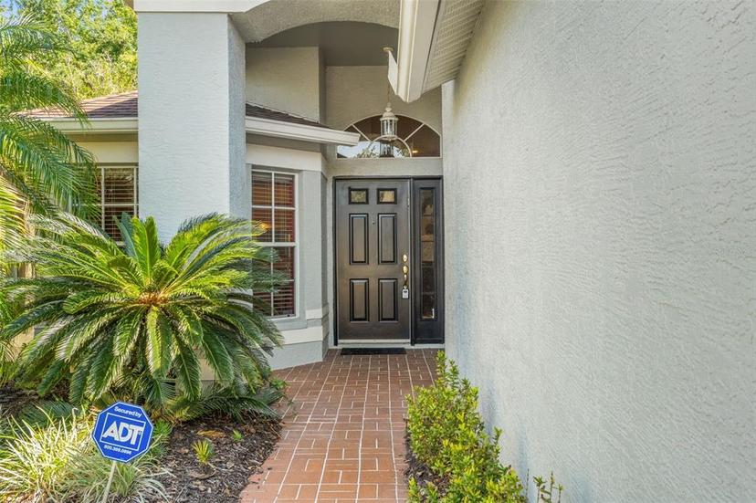 Picture of 1013 Sweet Jasmine Drive, Trinity FL 34655