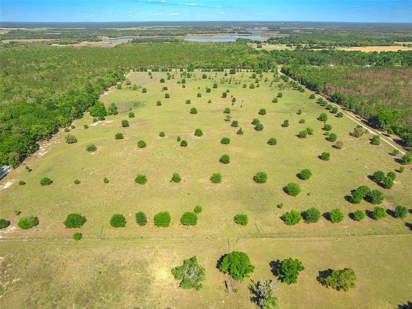 Picture of 11002 SW 282Nd Street, Newberry FL 32669