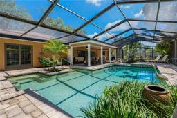 Picture of 785 Hickory Lane, Palm Harbor, FL 34683