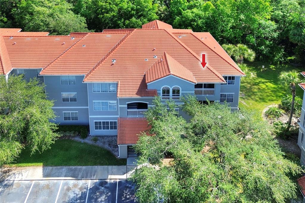 Picture of 18001 Richmond Place Drive Unit 337, Tampa, FL 33647
