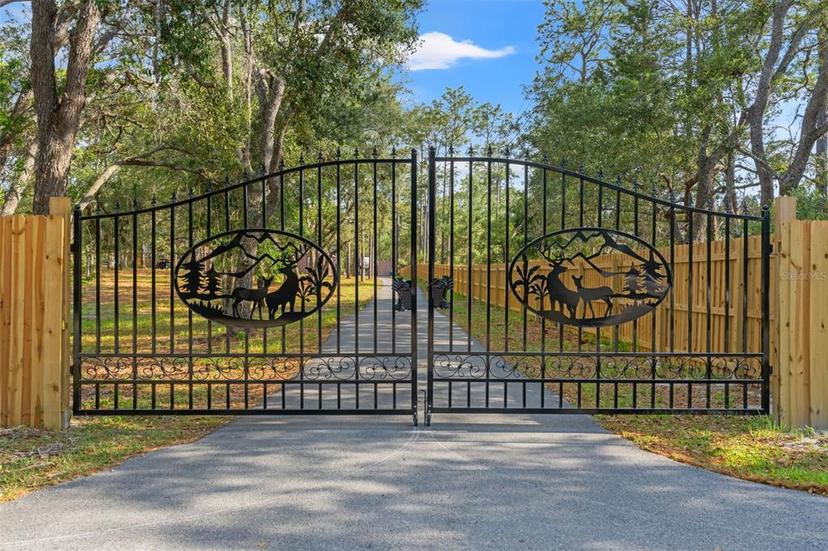 Picture of 9078 Birmingham Avenue, Weeki Wachee FL 34613