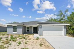 Picture of 1204 Alafia Way, Kissimmee, FL 34759