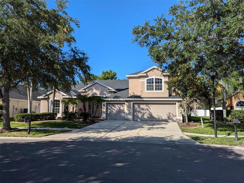 Picture of 19116 Nature Palm Lane, Tampa FL 33647