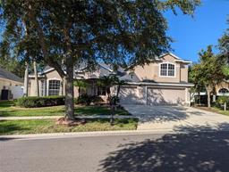 Picture of 19116 Nature Palm Lane, Tampa, FL 33647