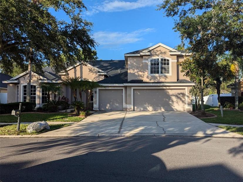 Picture of 19116 Nature Palm Lane, Tampa FL 33647