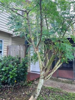 Picture of 1023 Spring Meadow Drive Unit 1023, Kissimmee, FL 34741