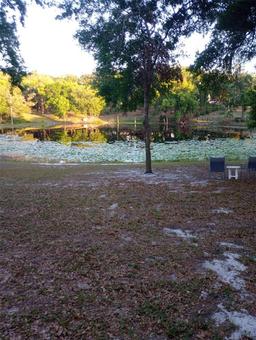 Picture of 427 Carolina Avenue, Lady Lake, FL 32159