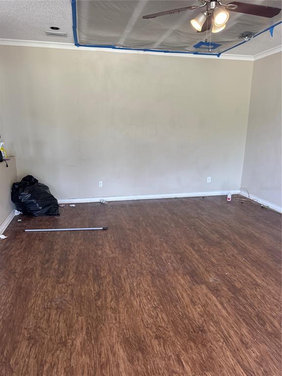 Picture of 11317 Village Brook Drive, Riverview FL 33579