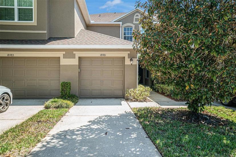 Picture of 18981 Duquesne Drive, Tampa FL 33647