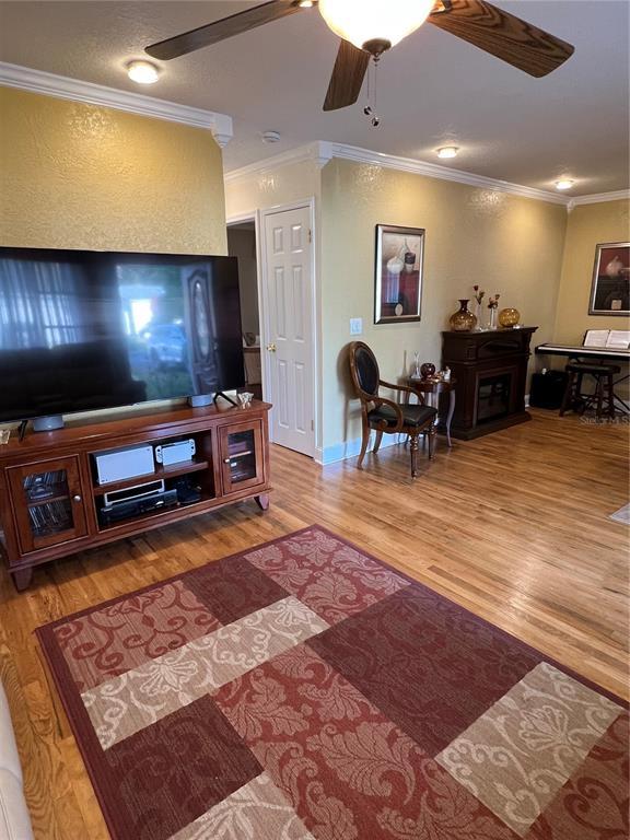 Picture of 8405 N Newport Ave, Tampa FL 33604