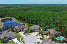 Picture of 14809 Ninebark Court, Land O Lakes, FL 34638
