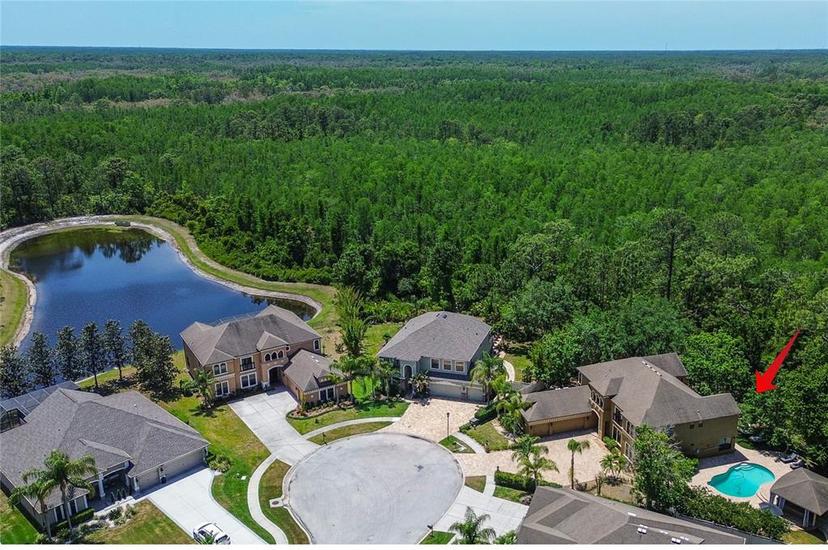 Picture of 14809 Ninebark Court, Land O Lakes FL 34638