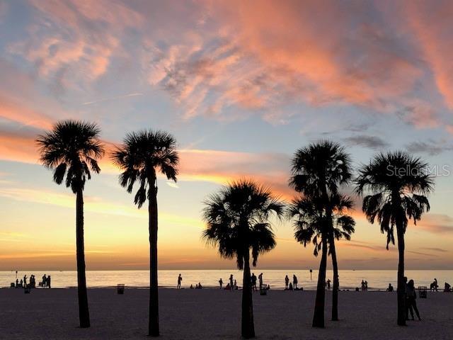 Picture of 833 Lantana Avenue, Clearwater Beach FL 33767