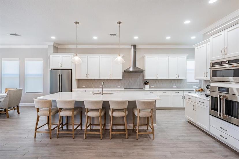 Picture of 16677 Vibrato Lane, Land O Lakes FL 34638