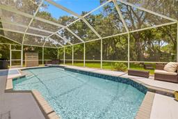 Picture of 5902 Audubon Manor Blvd, Lithia, FL 33547