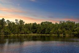 Picture of 19194 Lake Audubon Drive, Tampa, FL 33647