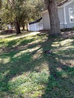 Picture of 20 Water Track, Ocala, FL 34472