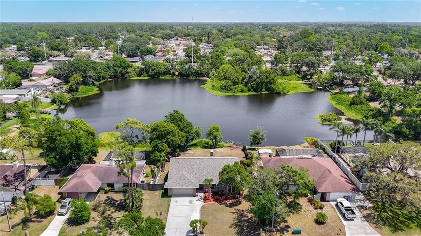 Picture of 3810 Hollister Place, Brandon FL 33511