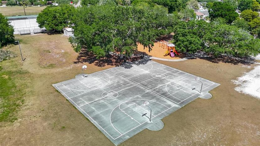 Picture of 3810 Hollister Place, Brandon FL 33511