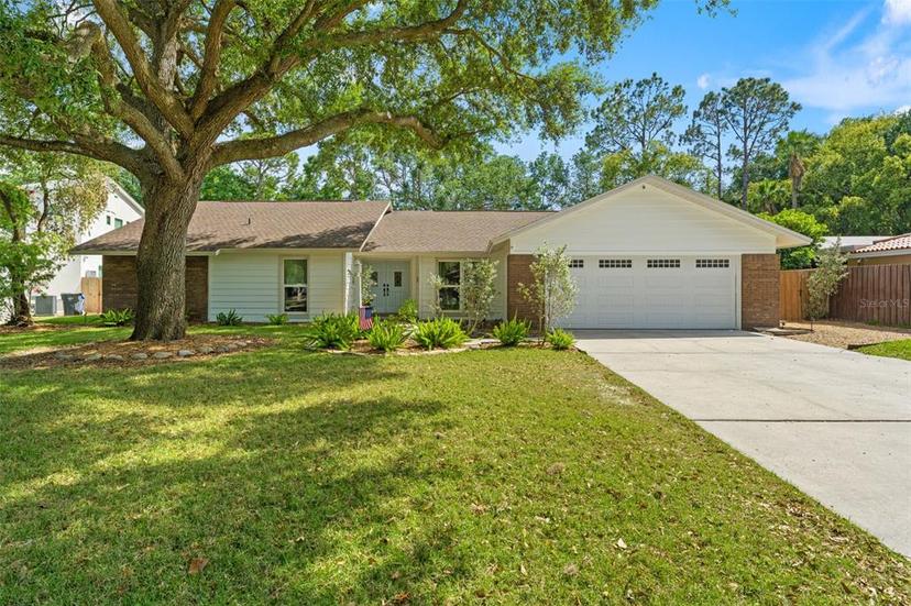 Picture of 11709 Rolling Oaks Lane, Tampa FL 33618