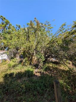 Picture of 6901 33Rd Street N, St Petersburg, FL 33702
