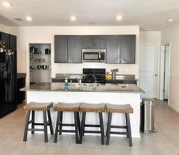 Picture of 32699 Dashel Palm Lane, Wesley Chapel, FL 33543