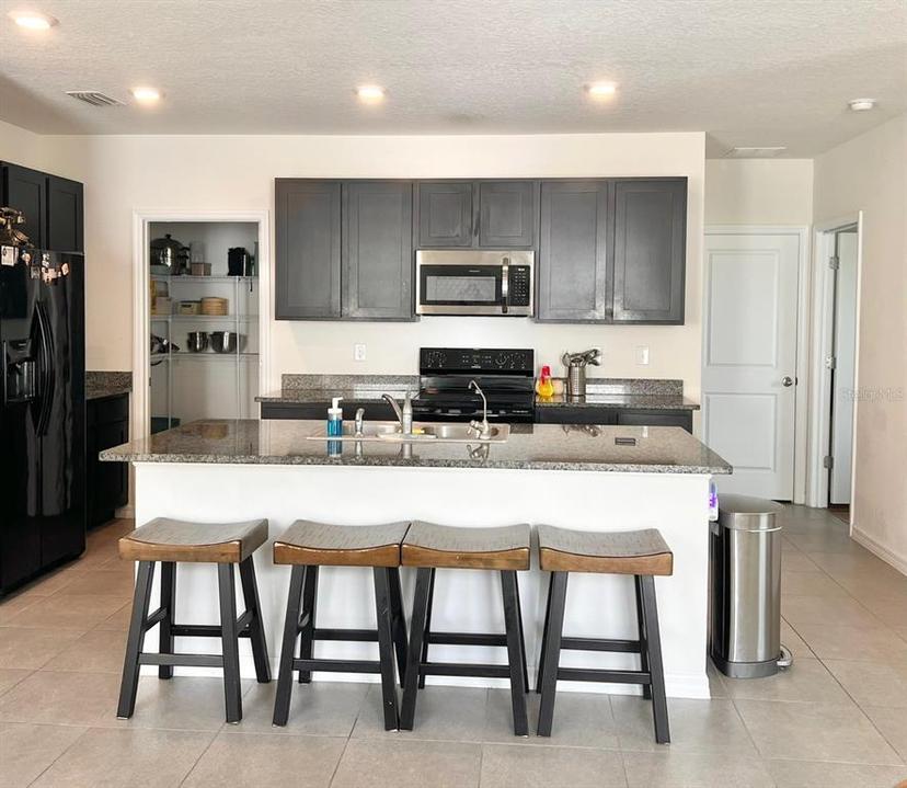 Picture of 32699 Dashel Palm Lane, Wesley Chapel FL 33543