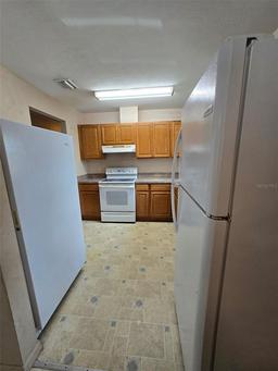 Picture of 911 White Lane Ne, Steinhatchee, FL 32359