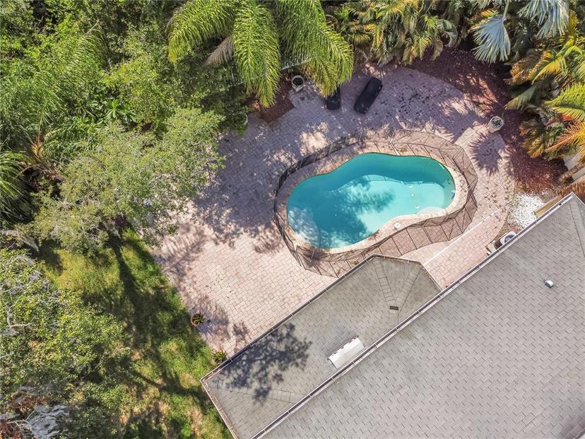 Picture of 11102 Avery Oaks Drive, Tampa FL 33625