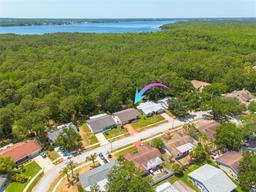 Picture of 1144 Lanyard Street, Palm Harbor, FL 34685