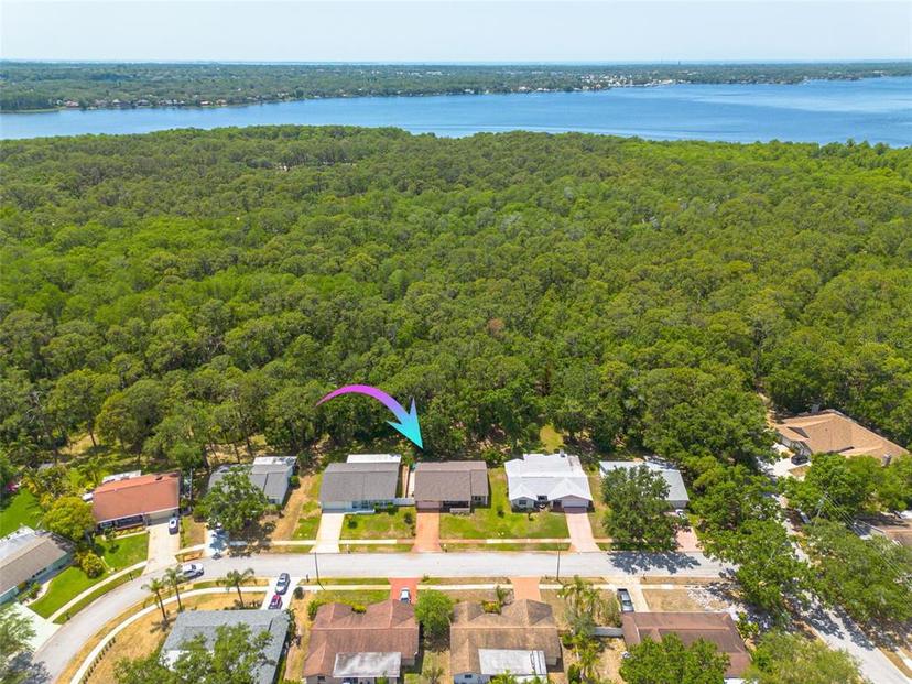 Picture of 1144 Lanyard Street, Palm Harbor FL 34685