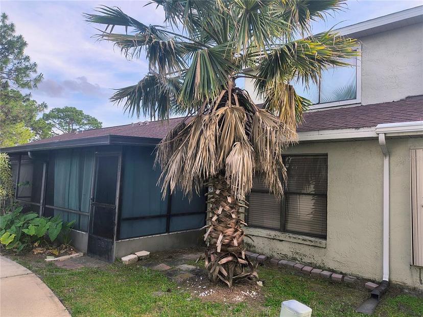 Picture of 135 Pine Island Circle, Kissimmee FL 34743