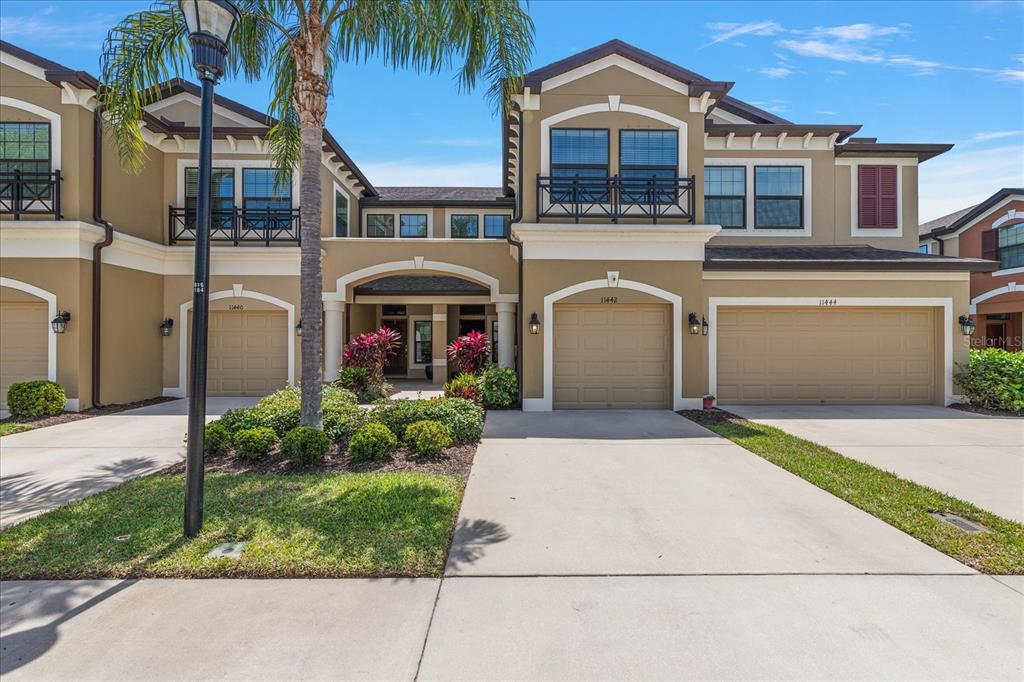 Picture of 11442 Crowned Sparrow Lane, Tampa, FL 33626