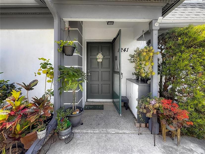 Picture of 1241 N Mcmullen Booth Road, Clearwater FL 33759