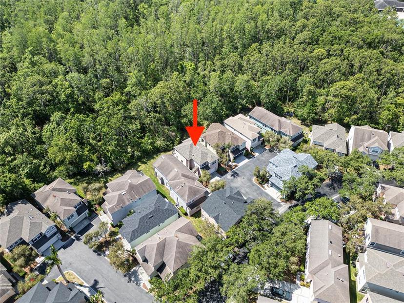 Picture of 10503 Dotham Court, Tampa FL 33626