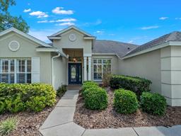 Picture of 17311 Hubers Court, Odessa, FL 33556
