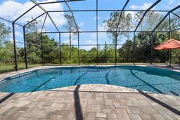 Picture of 7207 Peregrina Loop, Wesley Chapel, FL 33545