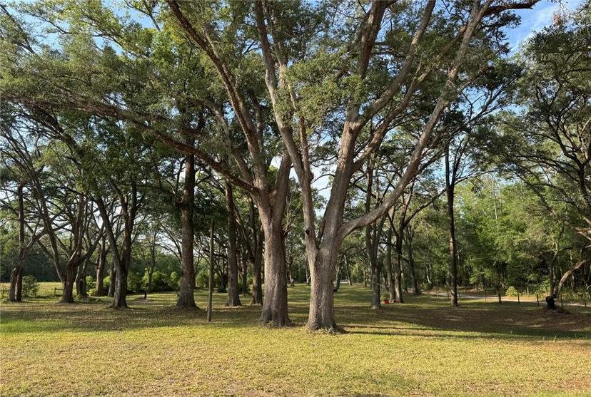 Picture of 18901 Bates Road, Spring Hill FL 34610
