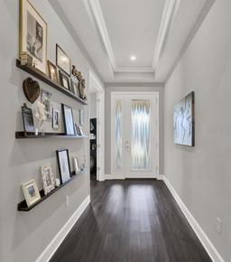 Picture of 11743 Lake Lucaya Drive, Riverview, FL 33579