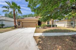 Picture of 4500 Fieldview Circle, Wesley Chapel, FL 33545