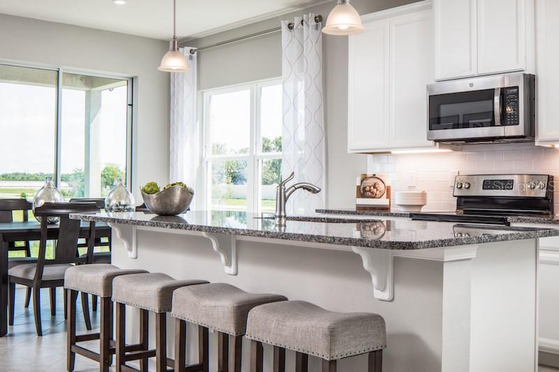 Picture of 1720 W Palms Drive, Port Charlotte FL 33953