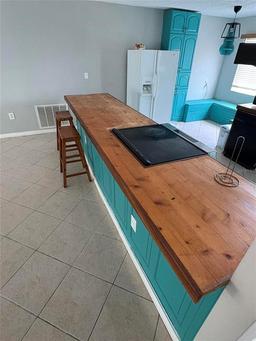 Picture of 431 David Court, Palm Harbor, FL 34684