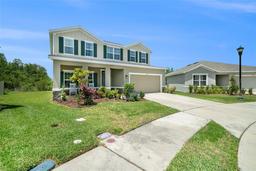 Picture of 18161 Hunters Meadow Walk, Land O Lakes, FL 34638