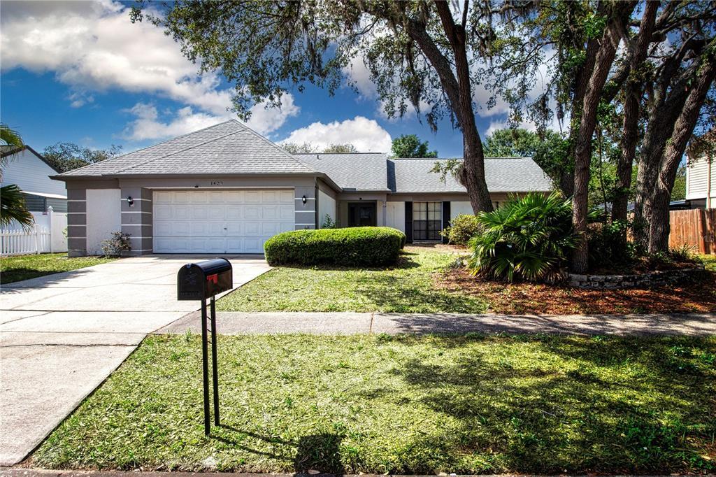 Picture of 1423 Peachfield Drive, Valrico, FL 33596