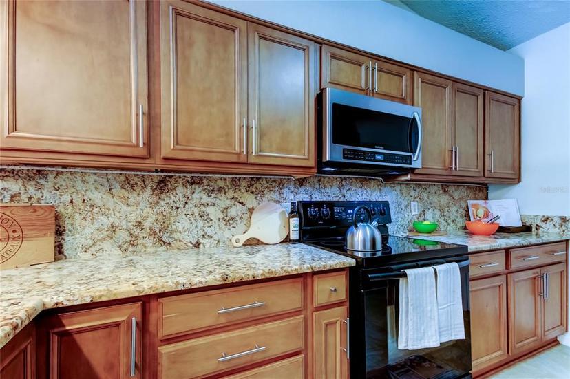 Picture of 2547 Stony Brook Lane, Clearwater FL 33761