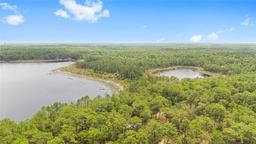 Picture of 14620 SE 47Th Loop, Ocklawaha, FL 32179