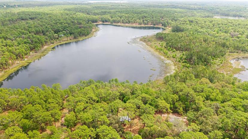 Picture of 14620 SE 47Th Loop, Ocklawaha FL 32179
