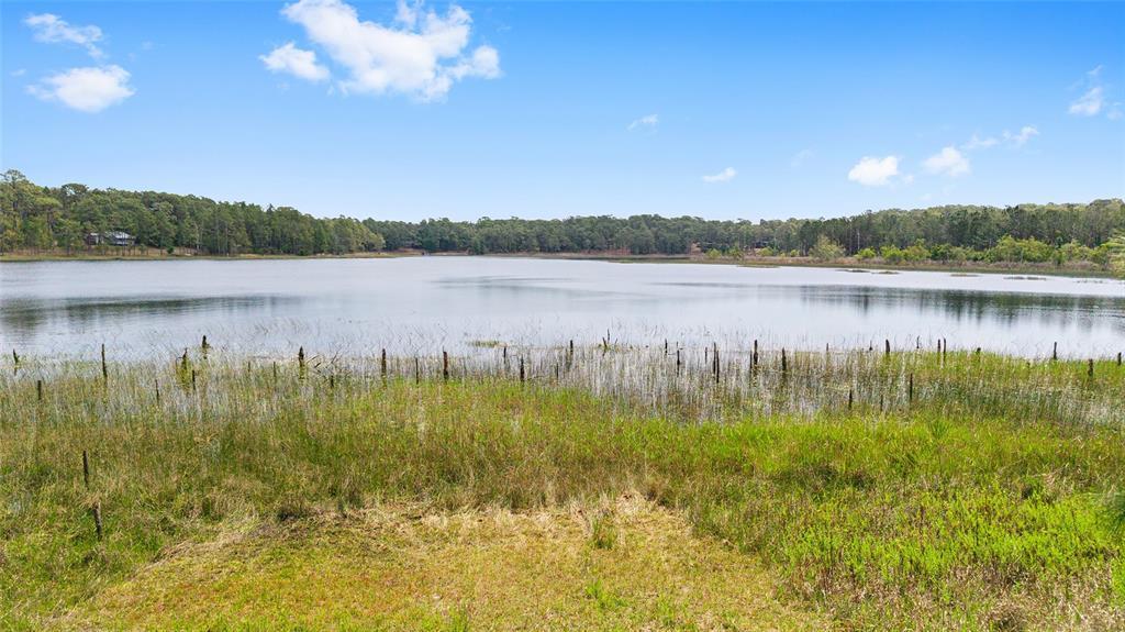 Picture of 14620 SE 47Th Loop, Ocklawaha, FL 32179
